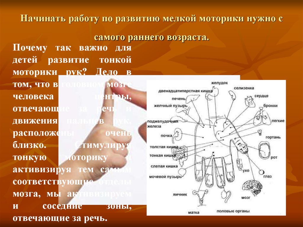 Развитие речи моторикой. Связь мелкой моторики и мозга. Мелкая моторика и мозг. Связь моторики и речи. Мелкая моторика рук и мозг.