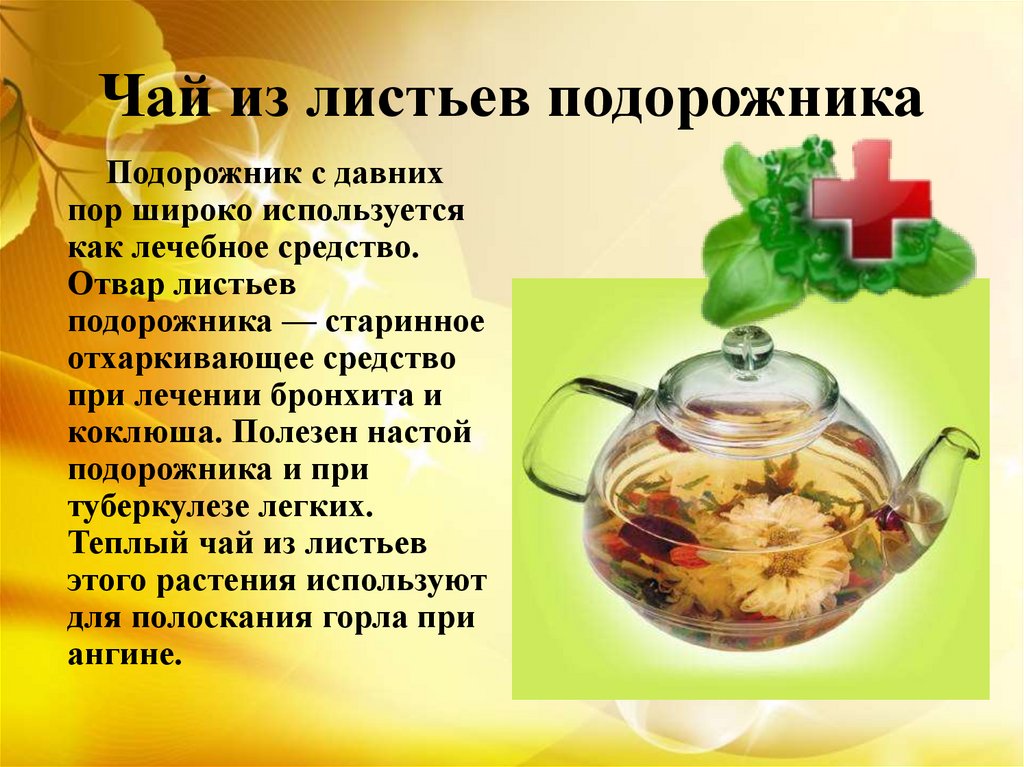 Чай от каких болезней. Рецепты чая из трав. Рецепты из лекарственных растений. Рецепт лекарственного чая. Полезный чай.