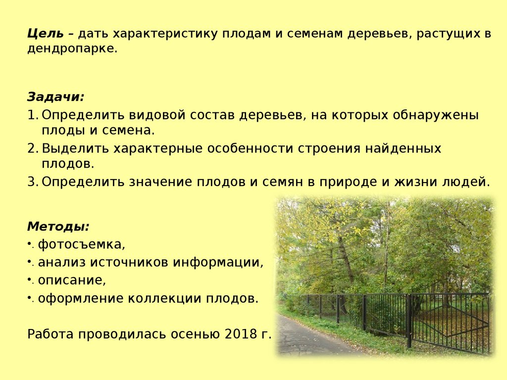 Задача про парк. Задачи дендрологических парков и ботанических садов. Дендрарий цели и задачи. Дендрологический парк какие задачи решаются. Дендрологический парк цель создания.