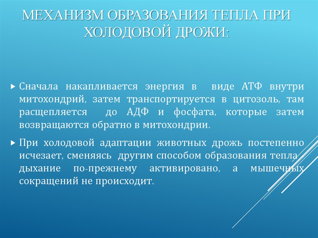 Образование тепла. Механизм холодовой дрожи. Источник энергии дыхания. Механизм дрожания холодового. Какова роль и механизмы холодовой дрожи.