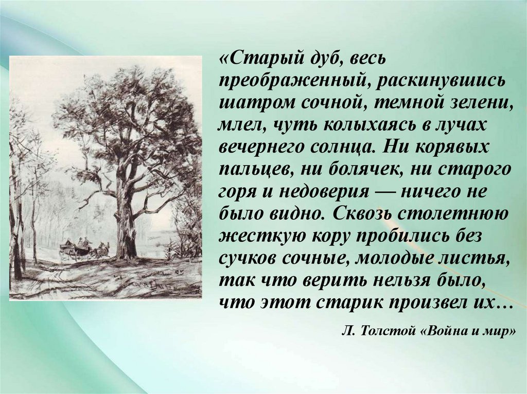 Природа в жизни болконского. Толстой описывает дуб.