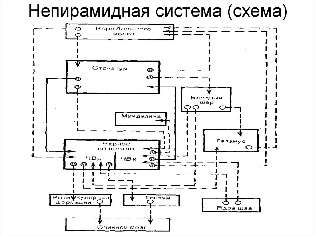 Непирамидная система (схема)