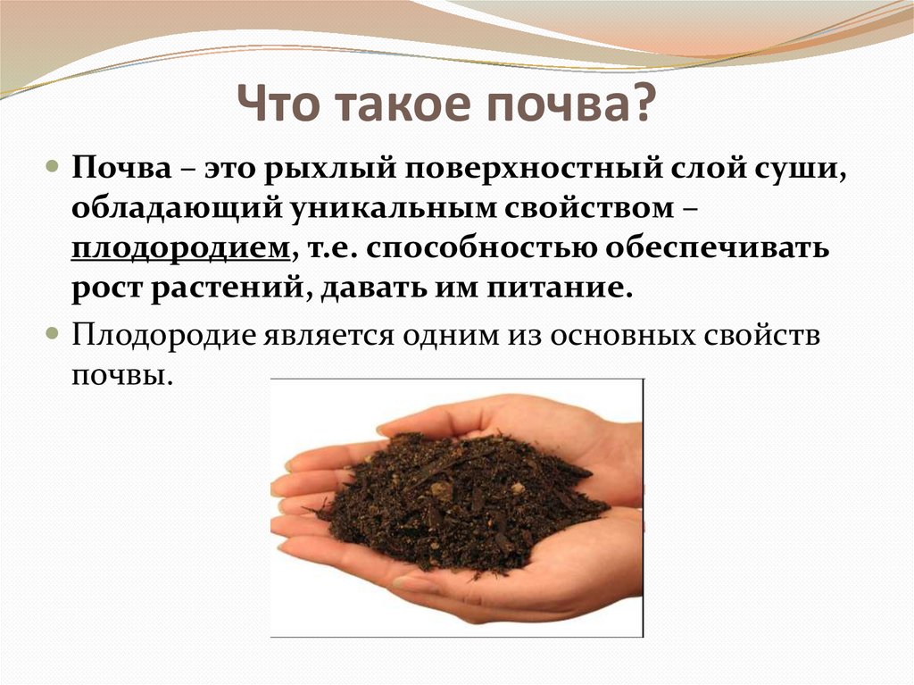 К каким природным ресурсам относятся почвы