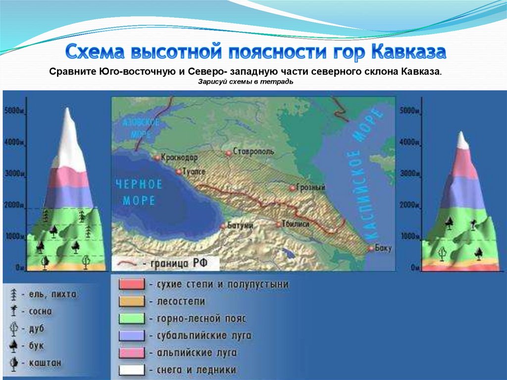Природные зоны кавказских гор таблица