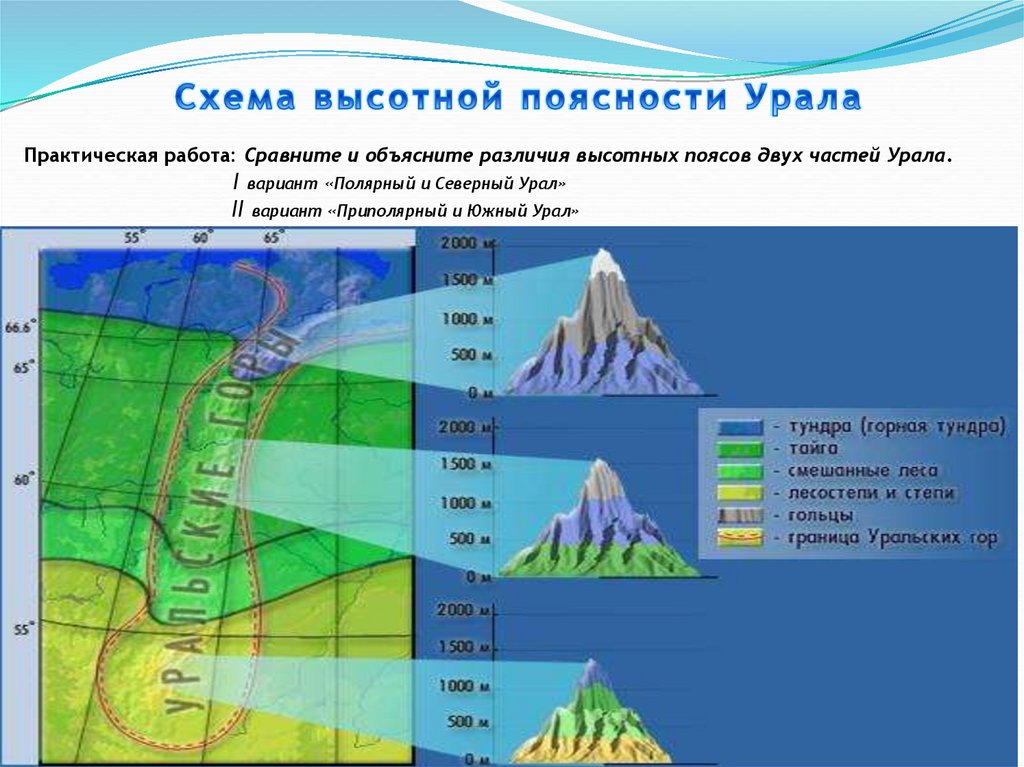 Объяснить различия структуры высотной поясности. Уральские горы природные зоны Высотная поясность. Высотная поясность Южного Урала. Уральские горы Высотная поясность. Высотная поясность Приполярного Урала.