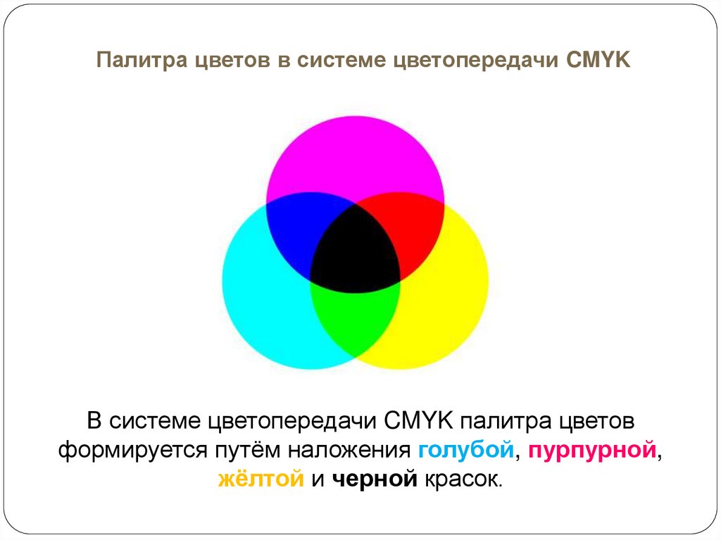 Что общего в кодировании текста графики и звука в компьютерной системе