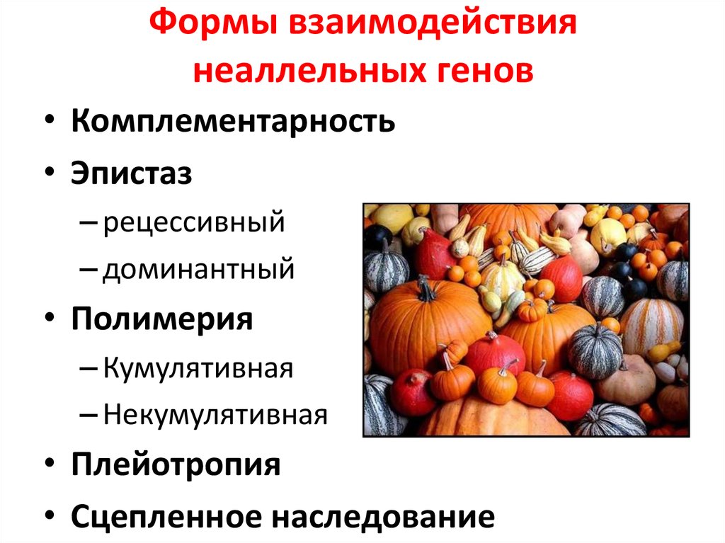 Взаимодействие неаллельных генов презентация 10 класс профильный уровень