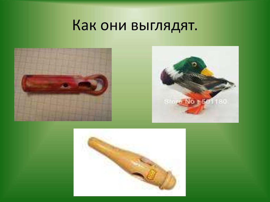 Как они выглядят.