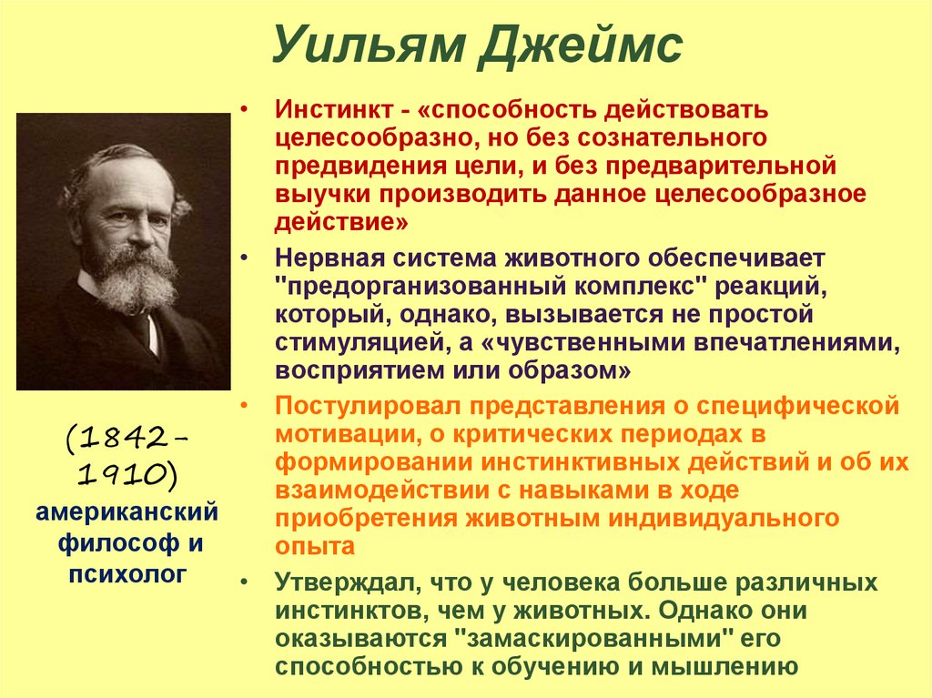 Годы жизни джеймса. Уильям Джеймс прагматизм. Уильям Джемс выдвинул концепцию. Уильям Джеймс функционализм. Уильям Джеймс психология сознания кратко.