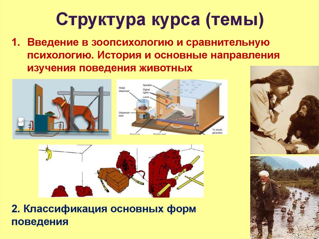  Ответ на вопрос по теме Предмет зоопсихологии