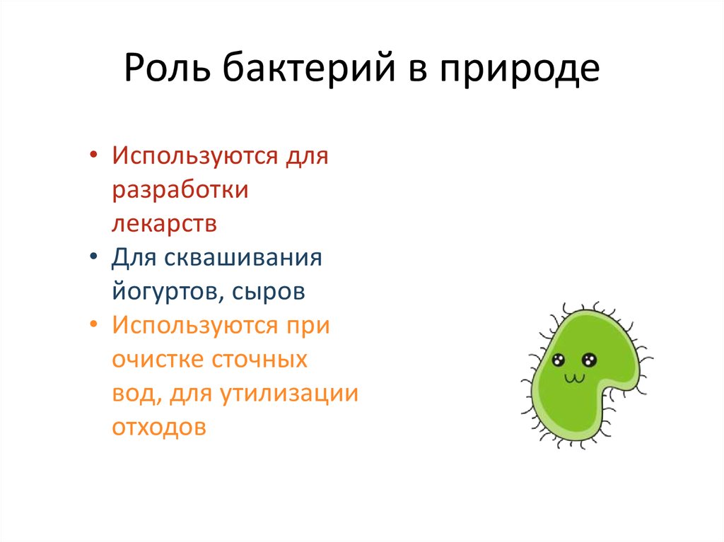 Роль бактерий в природе