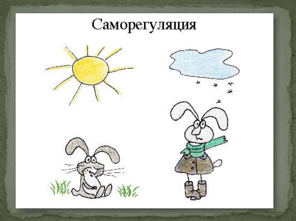 Саморегуляция картинки огэ