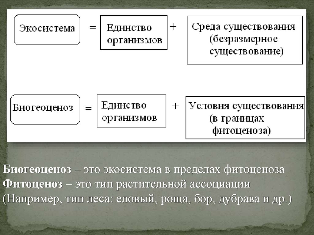 Единство организмов. Характер биогеоценоза. Типы биогеоценозов. Биогеоценоз = единство организмов + ?. Биогеоценоз это экосистема в пределах фитоценоза.