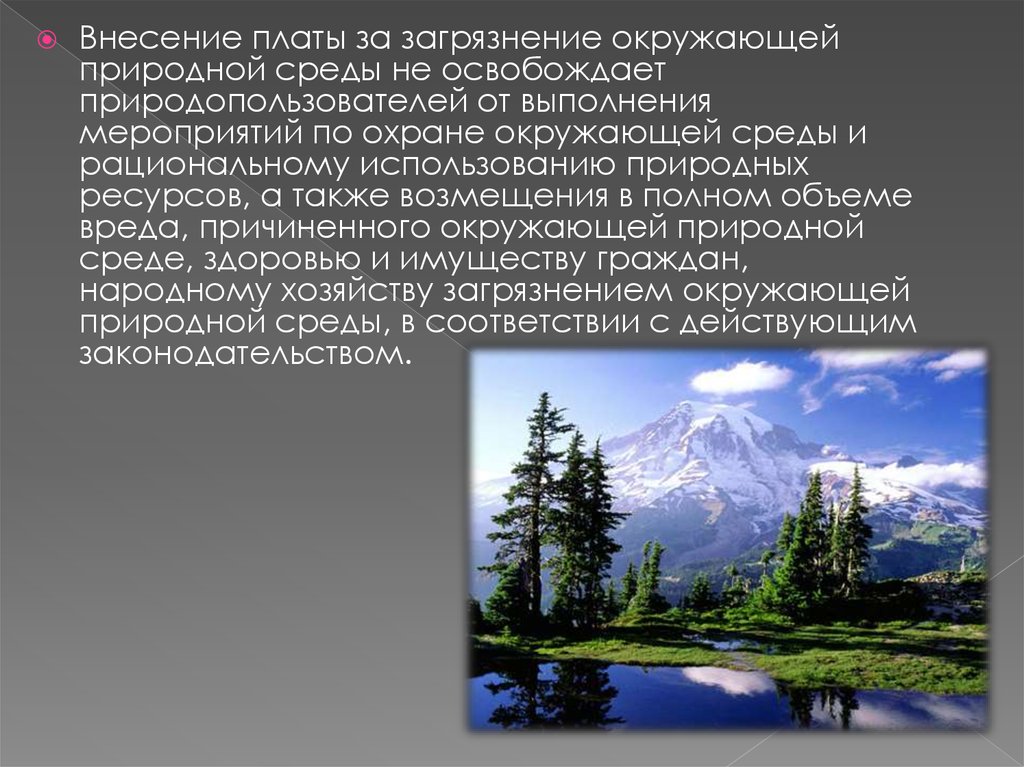 Платежи за загрязнение окружающей среды презентация