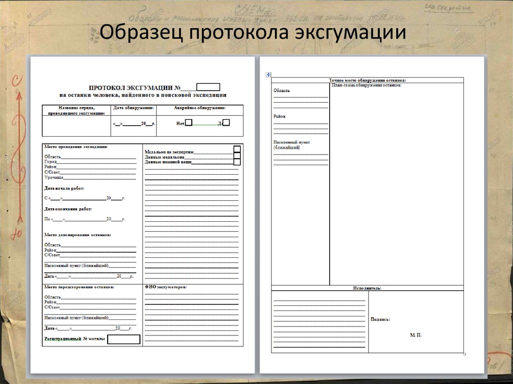 Протокол раскопа образец для поисковых отрядов