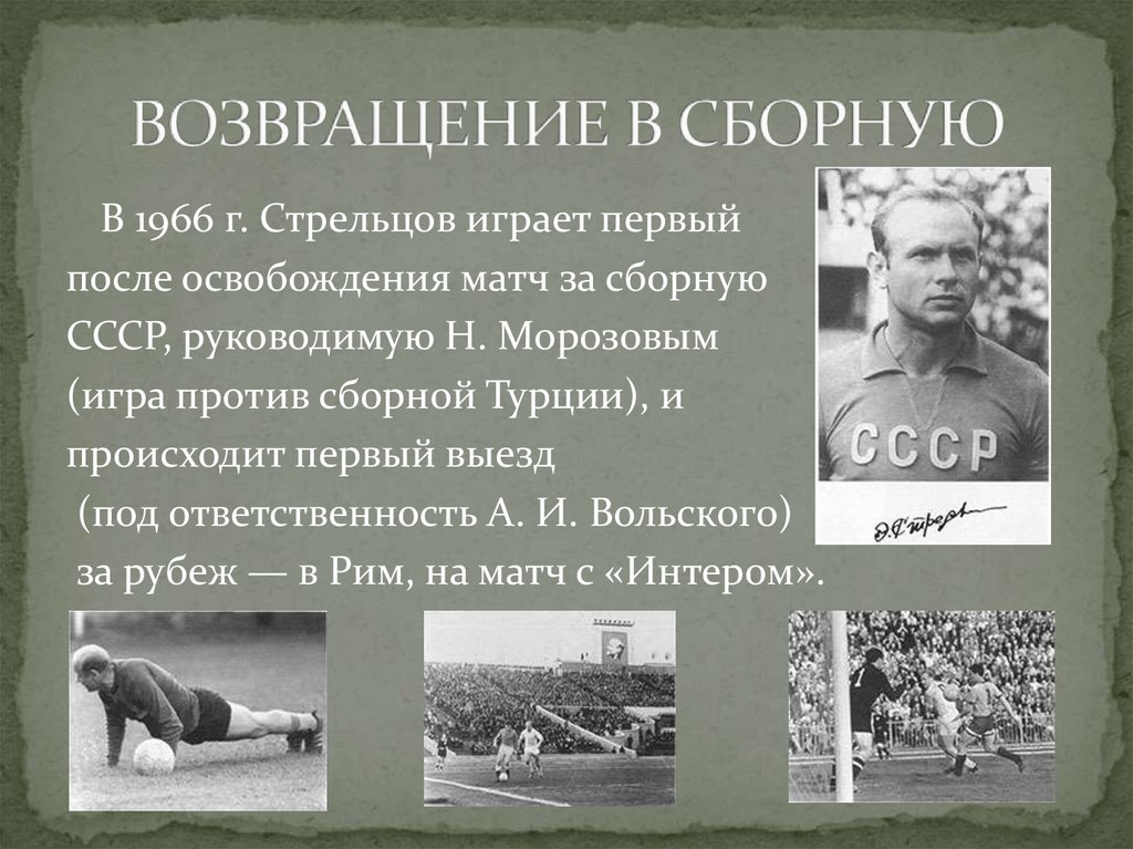 Стрельцов д в. Стрельцов презентация. Каковы были функции Стрельцов.