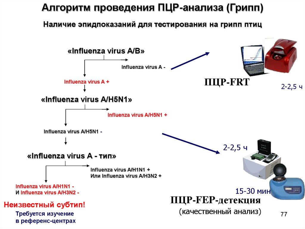 Пцр телефон