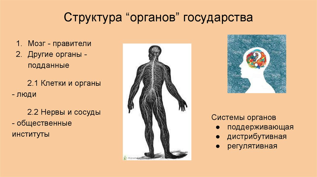 Органическая теория. Органическая теория происхождения государства. Государство организм. Органическая теория происхождения государства кратко.