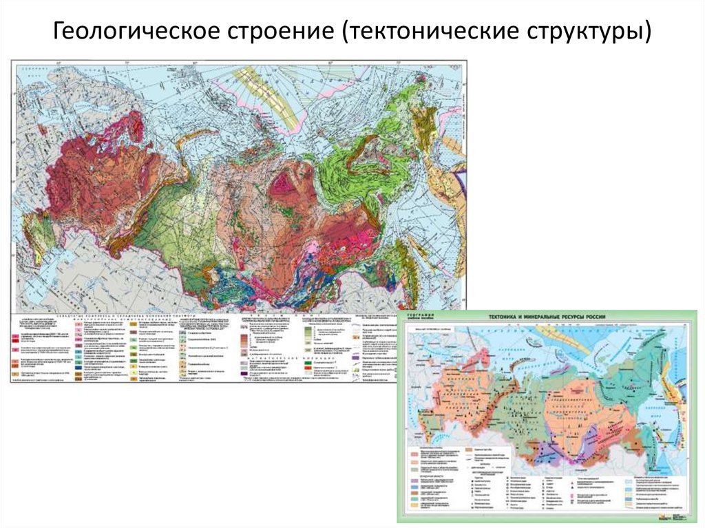 К какой тектонической структуре приурочен. Тектоническая карта России. Тектоническая карта России 8 класс.