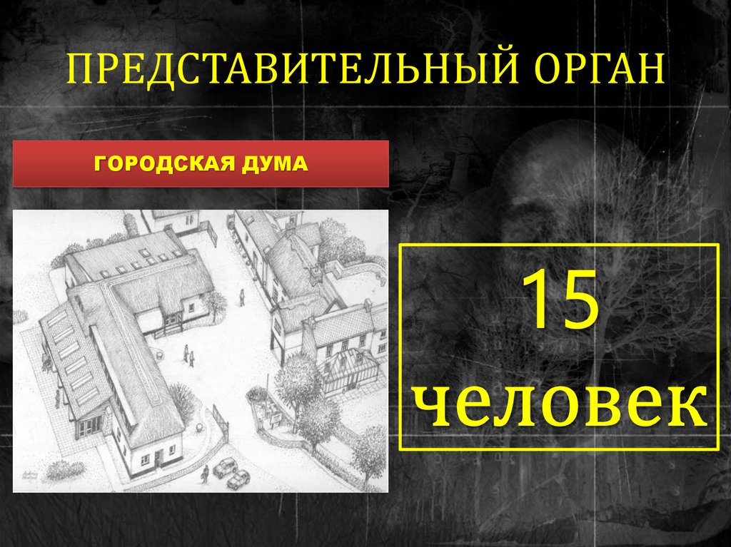 ПРЕДСТАВИТЕЛЬНЫЙ ОРГАН