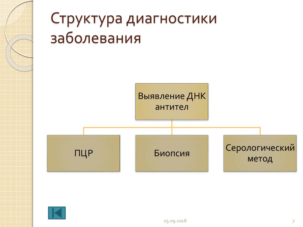 Структура диагностики