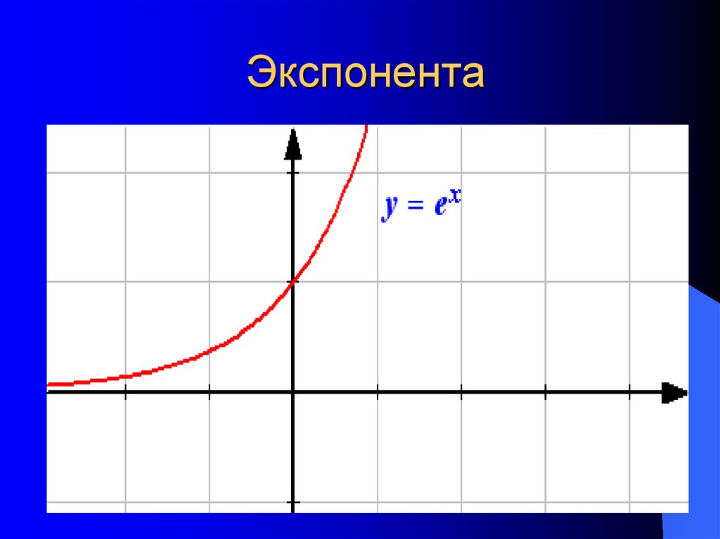 Функция y x в степени 1. Графики функций экспонента. • График экспоненциальной функции y = e x. Экспонента функция. График функции экспоненты.