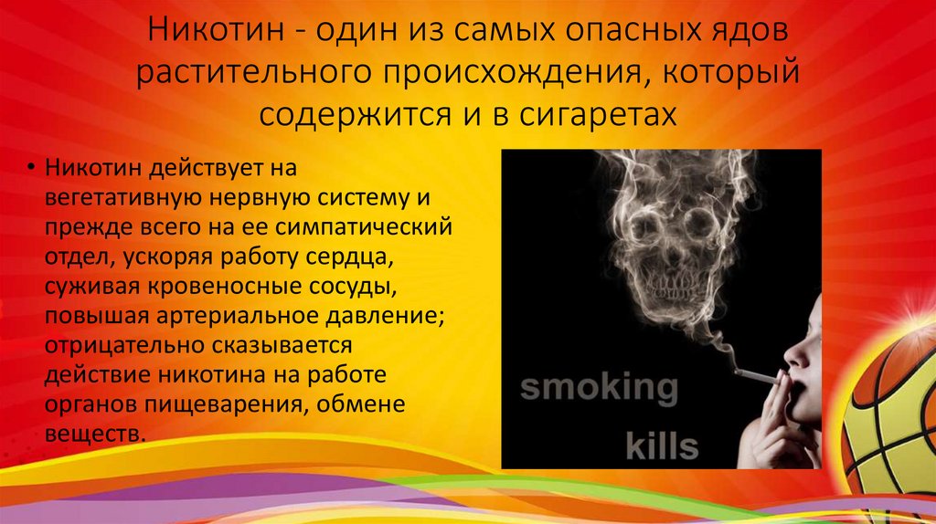 Никотин - один из самых опасных ядов растительного происхождения, который содержится и в сигаретах