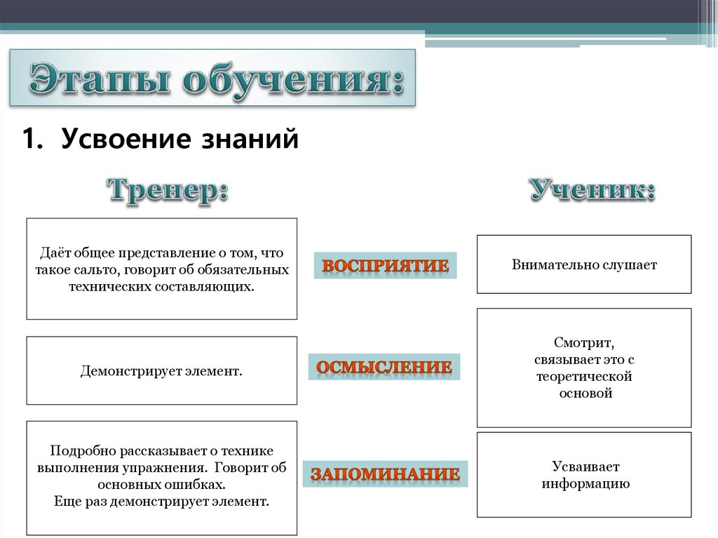 Основные этапы стадии усвоения по рубинштейну