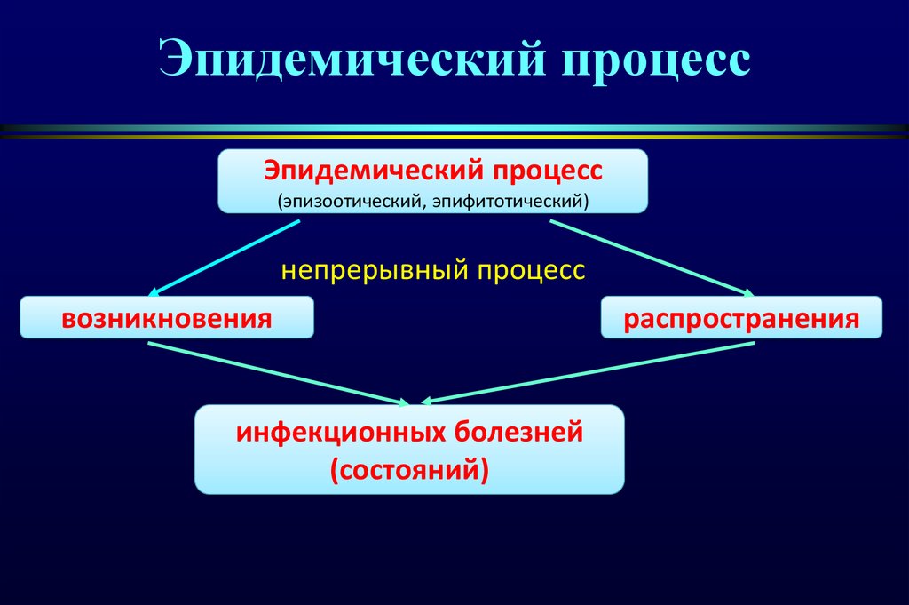 Звенья эпидемического процесса