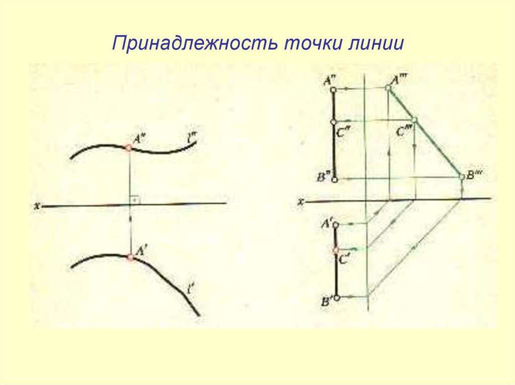 Найти точку на линии. Принадлежность точки линии. Принадлежность точки прямой линии. Принадлежность точек одной линии. Условие принадлежности точки и линии поверхности.