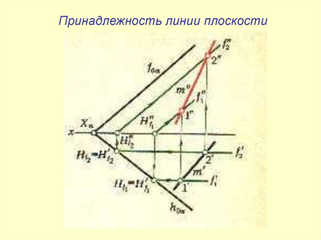 Виды линий на плоскости. Принадлежность линии плоскости. Проекция линии на плоскость. Ортогональные проекции прямой линии. Ортогональное проецирование прямой линии..