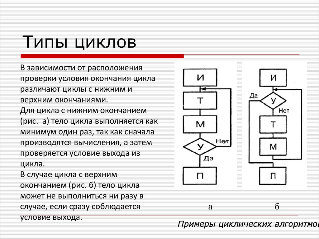 Это совокупность линий и шин сигналов электронных схем и алгоритмов