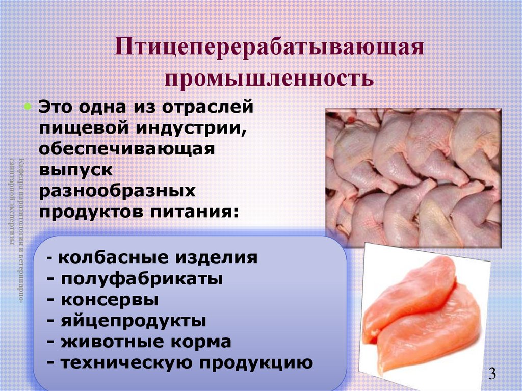 Контрольная работа по теме Ветеринарно-санитарная экспертиза мяса