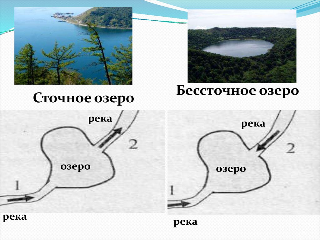 Какое озеро бессточное. Сточные озера и бессточные озера. Схема озера. Сточное озеро схема. Схема сточного и бессточного озера.