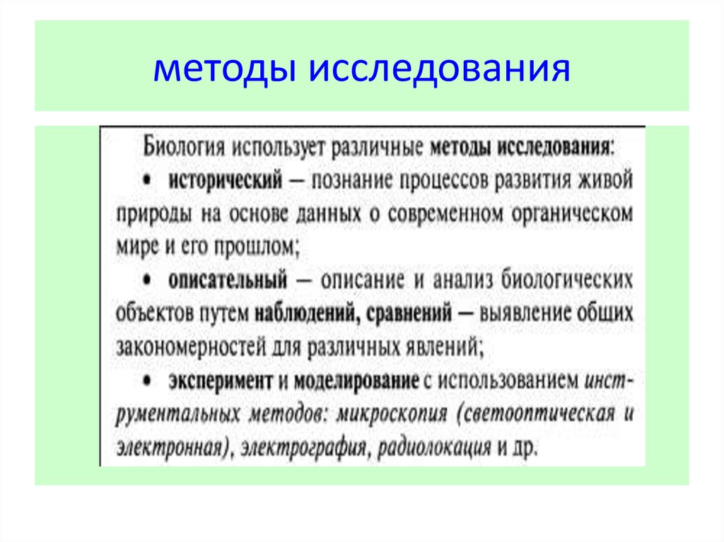 Какой метод биологических исследований был использован для получения приведенного изображения