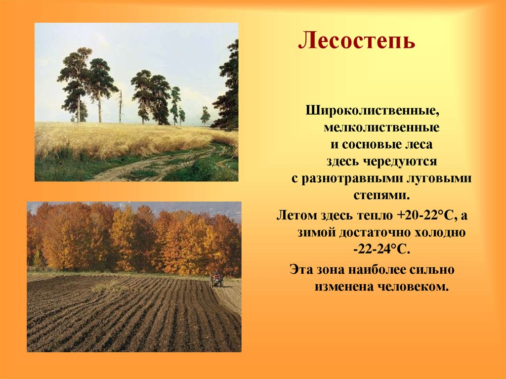 Степи и лесостепи отличаются богатством климатических ресурсов. Почвы лесостепи. Лесостепи и степи климат. Лесостепи и степи почва. Климат степей и лесостепей в России.