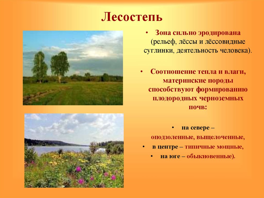 Лесостепи и степи отличаются богатством биологических ресурсов. Климат степей и лесостепей в России. Зона лесостепи. Климат лесостепи. Природный комплекс лесостепи.