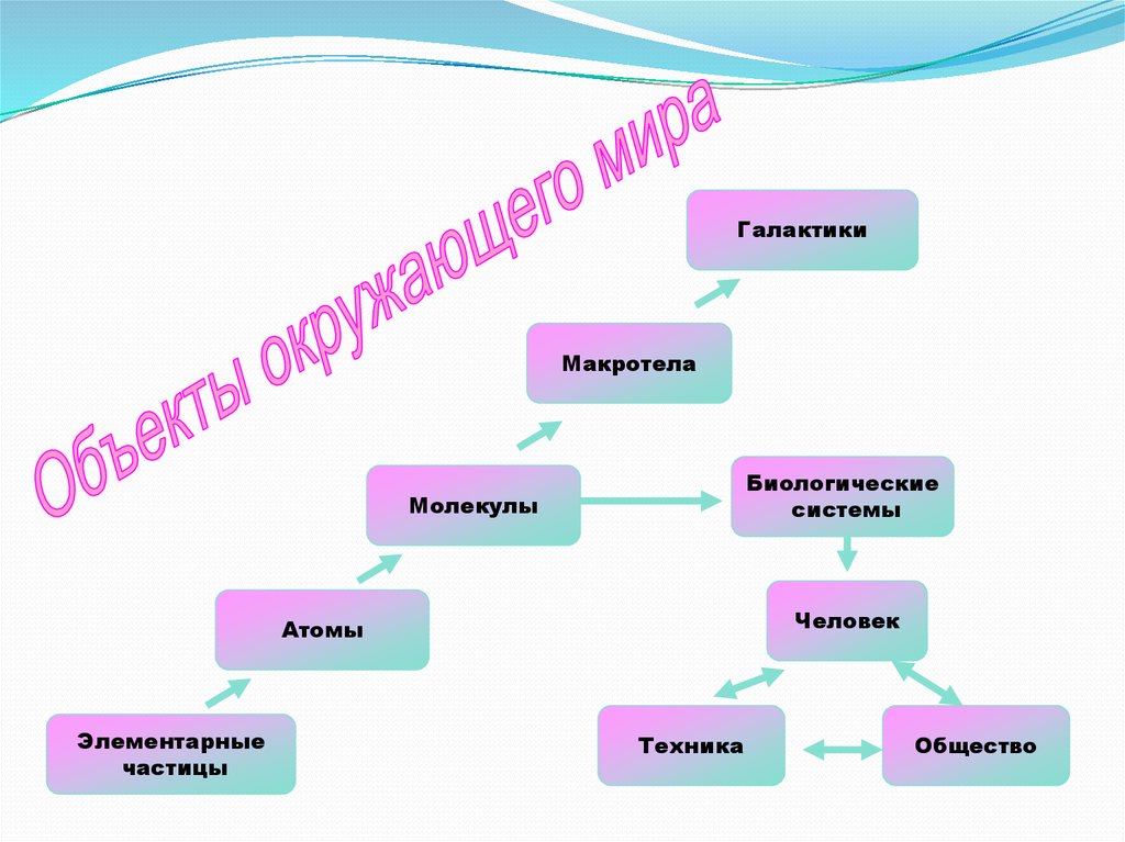 Объекты окружающего. Элементарные частицы атомы молекулы макротела. Система объектов окружающего мира. Биологические системы человека в информатике. Макротела примеры.