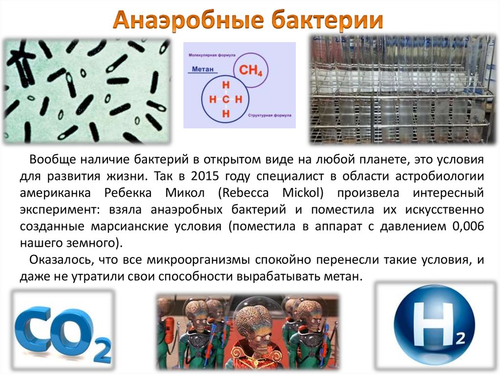 Анаэробные бактерии. Анаэробные микроорганизмы. Бактерии анаэробы. Микроорганизмы анаэробы. Анаэргобы микроорганизмы.