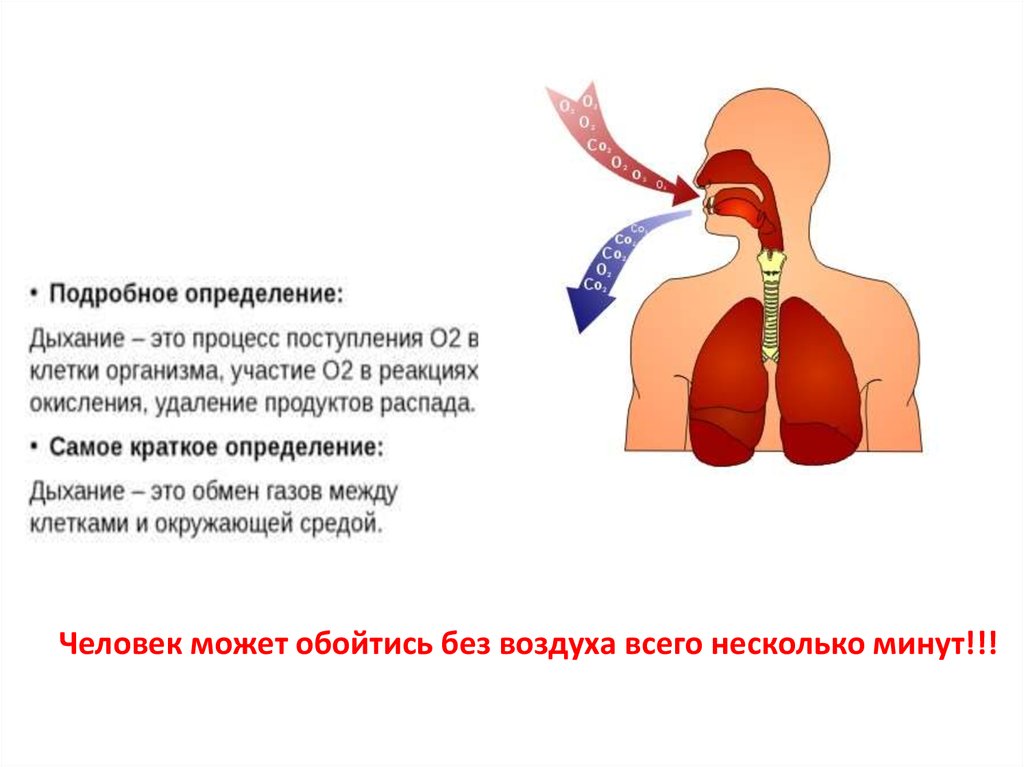 Определение дыхания картинки