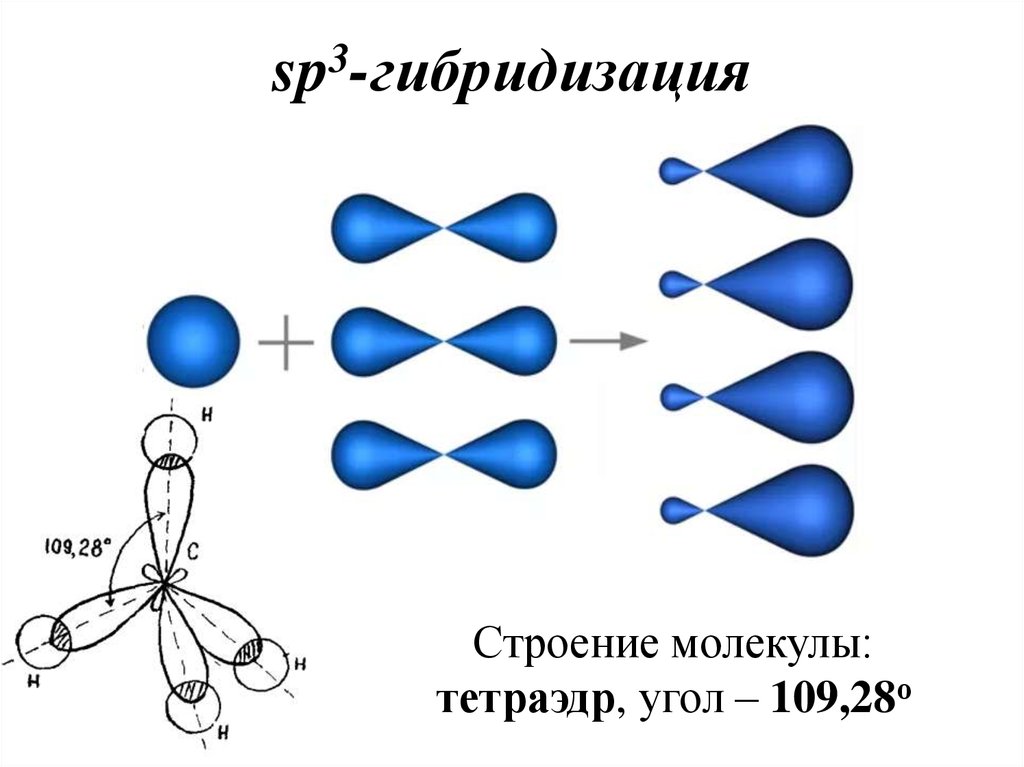 Приведите схему образования молекулы. Малнкула с п 3 гибриьизации. Схема образования sp3 гибридизации. Sp3 hybridization. Орбитали сп3 гибридизации.