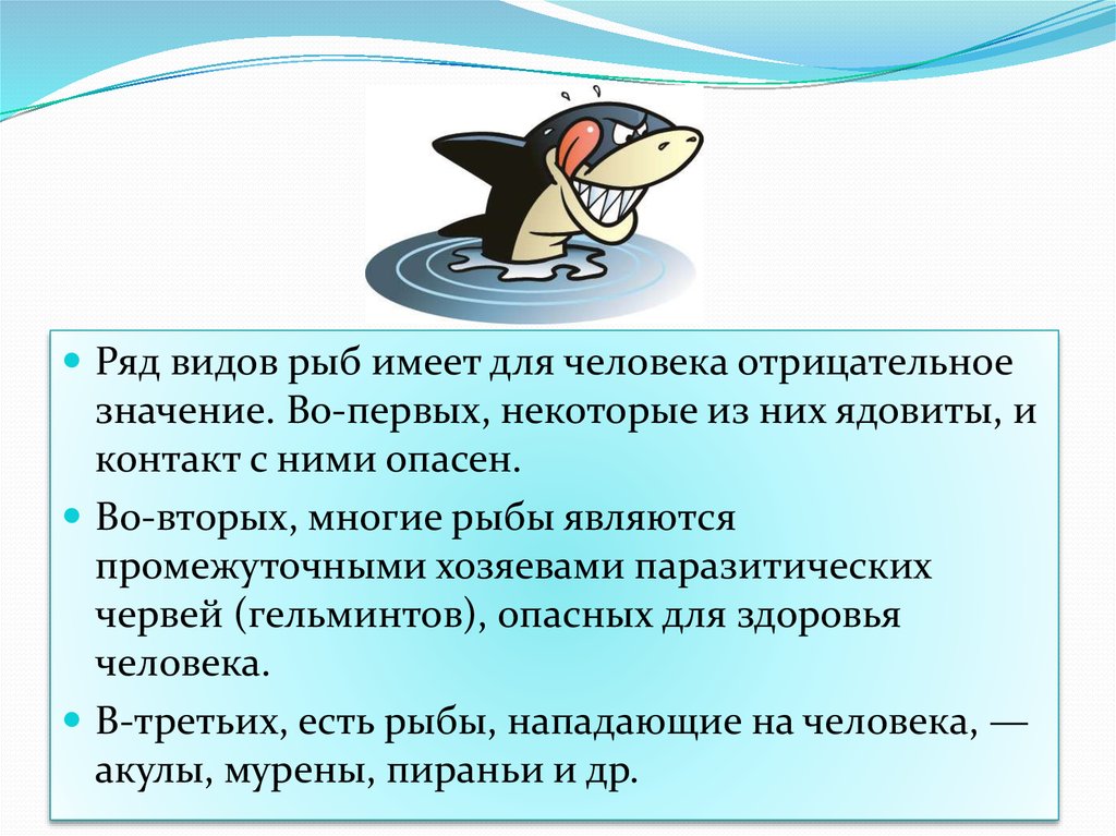 Значение рыб для человека и природы. Отрицательное значение рыб. Отрицательное значение рыб для человека. Положительное и отрицательное значение рыб для человека. Отрицательное значение рыб в жизни человека.