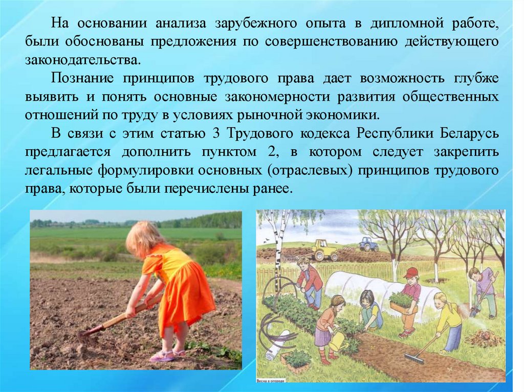 Дипломная работа по теме Исследование принципов трудового права Республики Беларусь