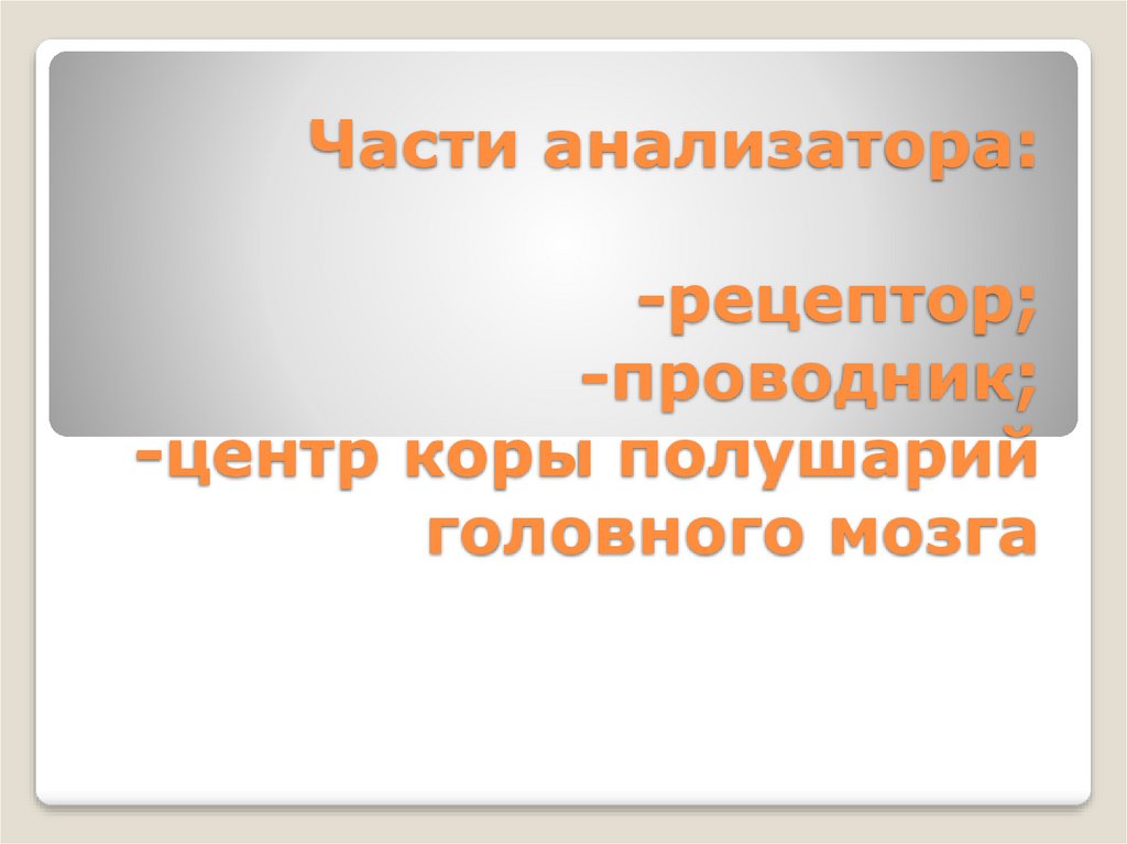 Части анализатора. Рецептор проводник кора. Рецептор проводник. Рецепторы и проводники и центры.