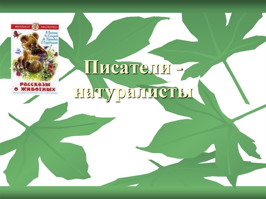 Писатели натуралисты. Писатели натуралисты список. Писатель натуралист это определение для детей. Кто такие Писатели натуралисты.