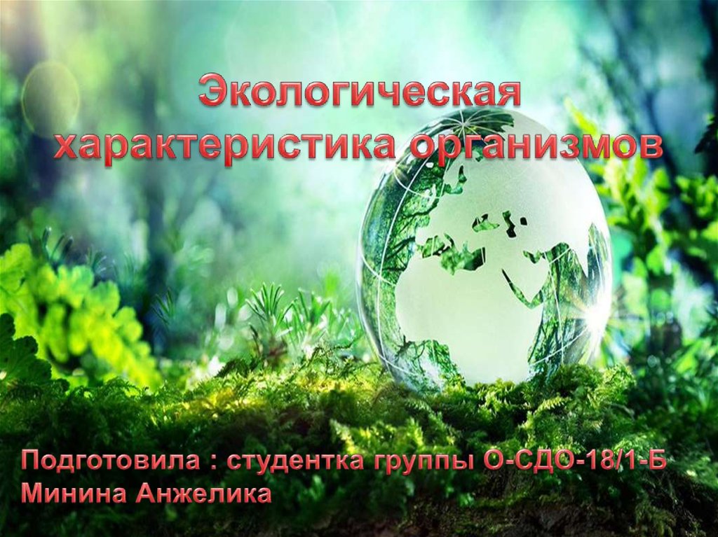 Экологическое описание. Экологические характеристики. Новую кологические.