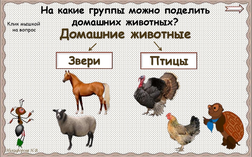 Дикие домашние животные рабочая тетрадь 2 класс. На какие группы можно разделить животных. На какие группы можно разделить птиц. На какие 2 группы можно разделить животных. На какие группы можно.