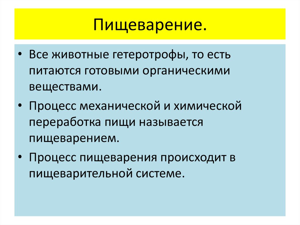 Готовыми органическими веществами питаются. Система переработки пищи у животных. Пищеварительная система животных 6 класс. Способы переваривания пищи у животных. Процесс механической и химической переработки пищи называется.