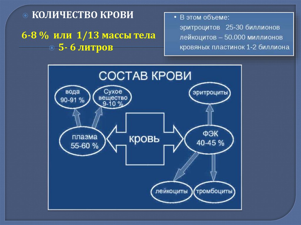 Внутренней раздел