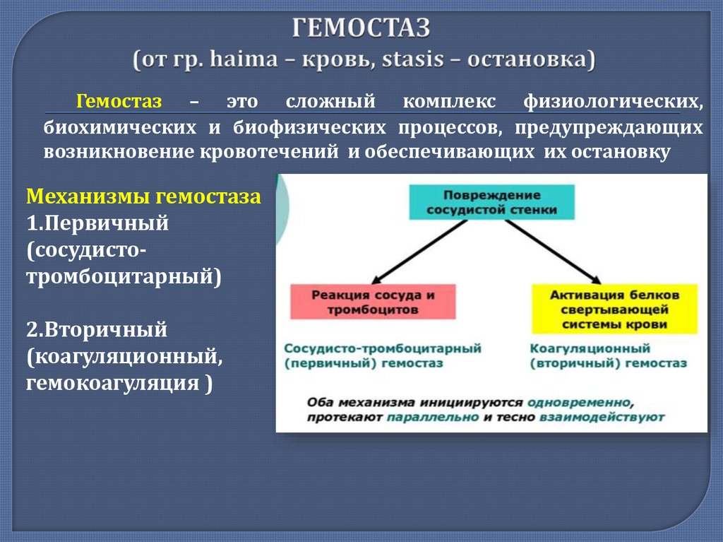 Морфо функциональные изменения организма